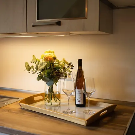 Weingut Haus Steinbach 4* 拉德博伊尔