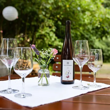Weingut Haus Steinbach 酒店 4*