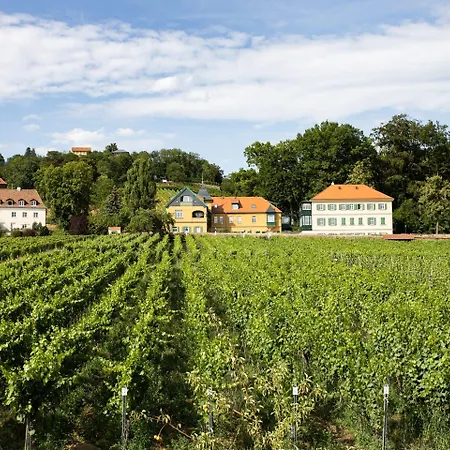 Weingut Haus Steinbach