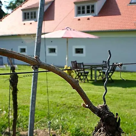Haus Steinbach 4* Radebeul
