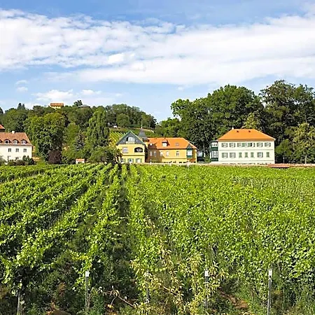 Haus Steinbach Radebeul