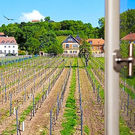 Haus Steinbach Radebeul