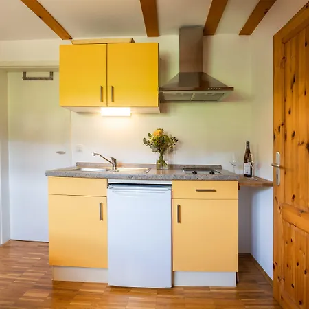 Haus Steinbach מלון 4*