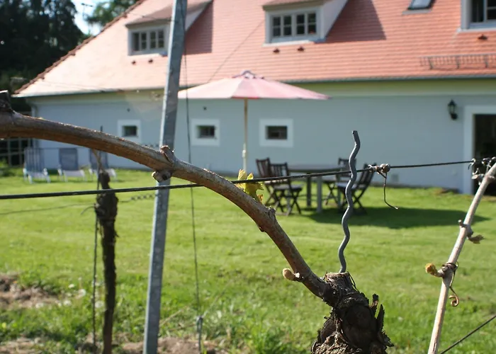 Weingut Haus Steinbach فندق