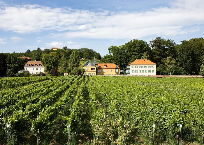 Weingut Haus Steinbach
